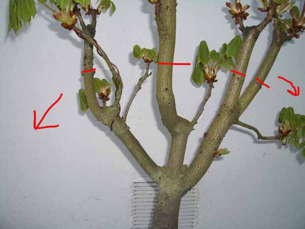 K_2_04_05.jpg