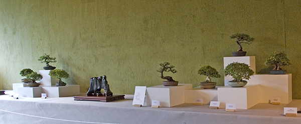 DSC_1955v.jpg