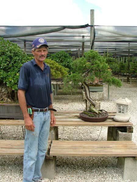 Nursery Manager Glenn Hilton, ein wahrer Bonsaienthusiast, mit dem ich mich lange unterhalten habe und auch heute noch Email schreibe. So verschwitzt waren wir bei 38°C und hoher Luftfeuchtigkeit alle.