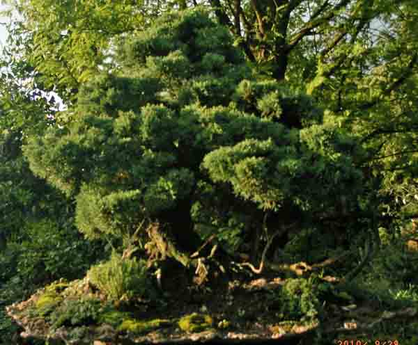 28.09.2010 063.JPG