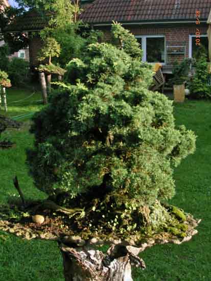 28.09.2010 068.JPG