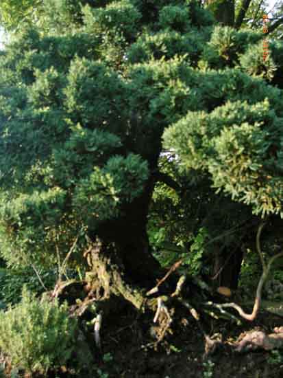 28.09.2010 070.jpg