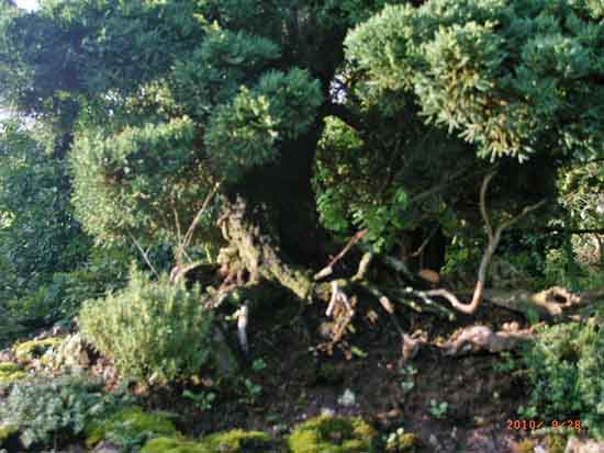 28.09.2010 072.JPG