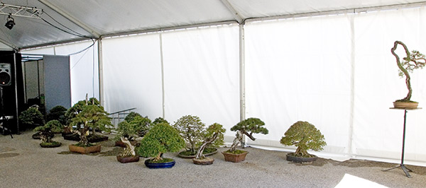 DSC_2015v.jpg