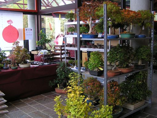 neue Bilder 3783.jpg