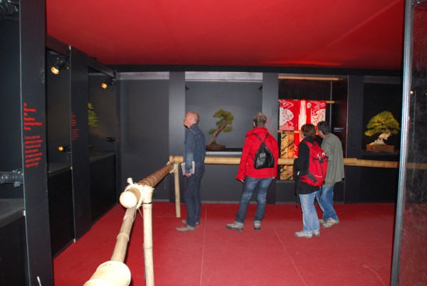 Bild6
