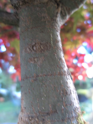 BILD0180.JPG