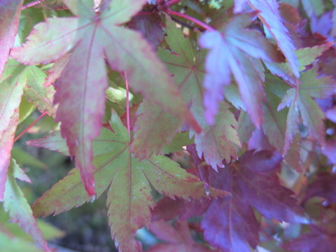 BILD0178.JPG