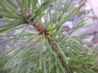 2010-10-25 17.11.38.jpg
