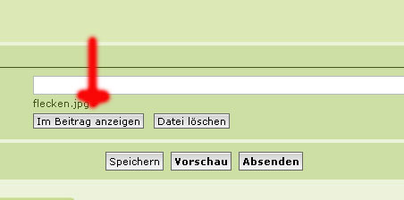 auswahl_02.jpg