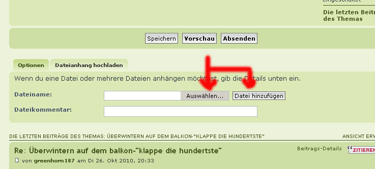 auswahl_01.jpg
