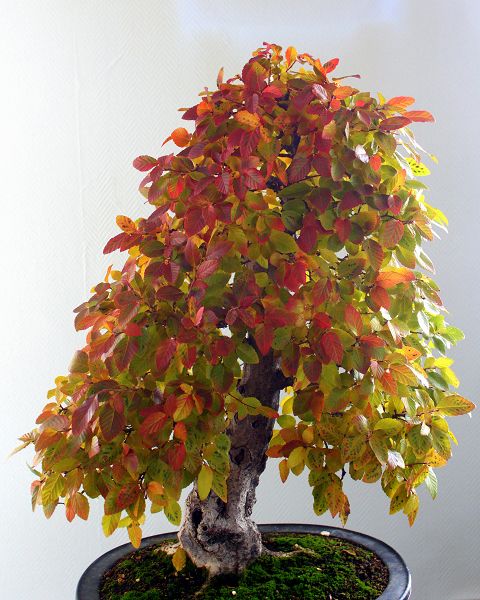 k-IMG_002.JPG
