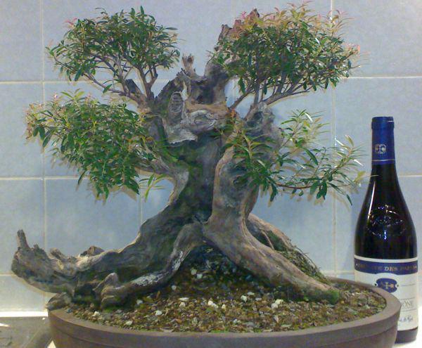 20101101_6.JPG
