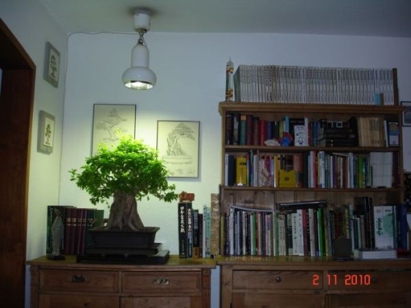 Pflanzenlampe.jpg