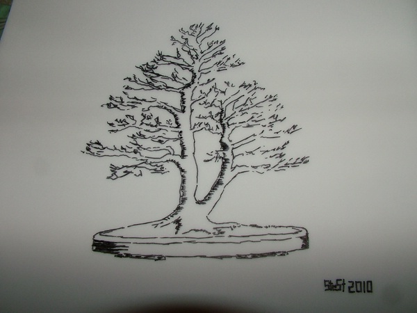 comp_2010_1102Bild0126.jpg
