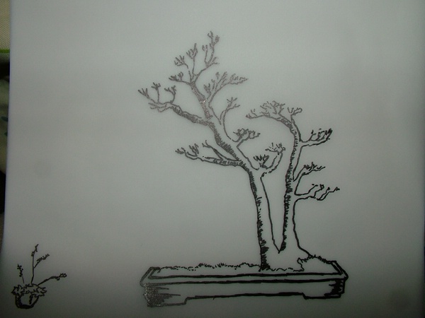 comp_2010_1102Bild0005.jpg
