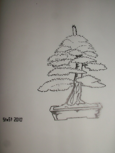 comp_2010_1105Bild0001.jpg
