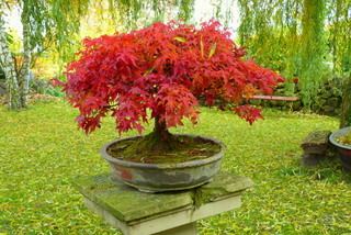 2010_11_02 003-1.jpg
