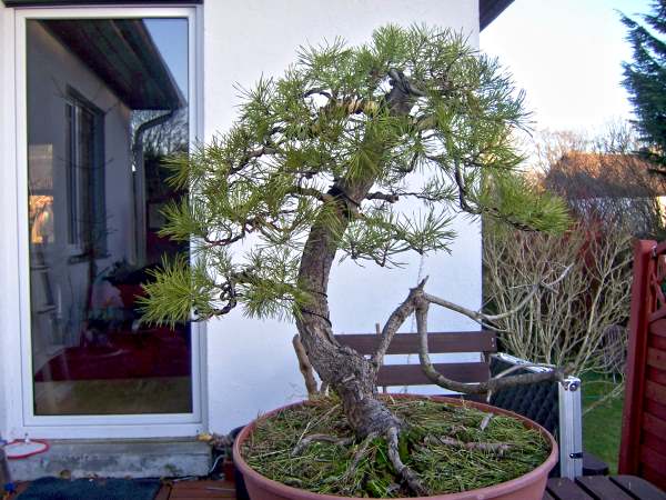 Eingangsbereich