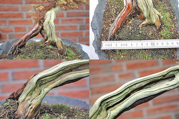 Poti-Detail.jpg