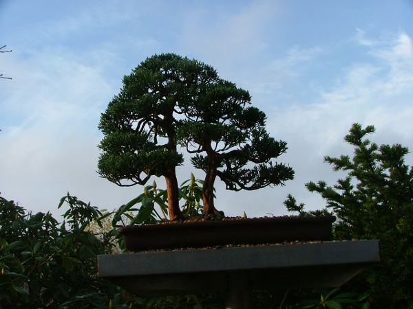 DSCF8637k.JPG
