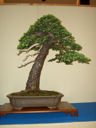 CIMG0261.JPG