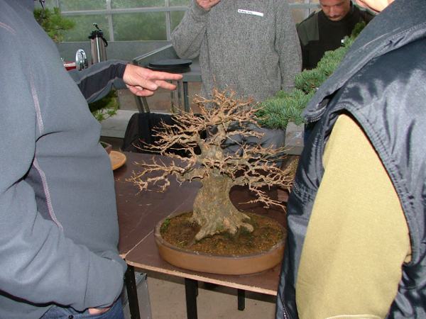 DSCF8592k.JPG