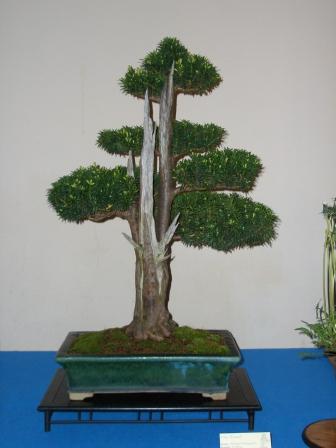 CIMG0272.JPG
