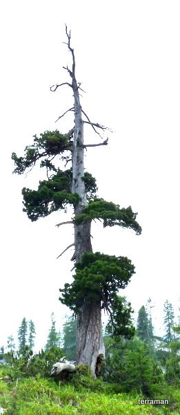 P1080227_gr.JPG